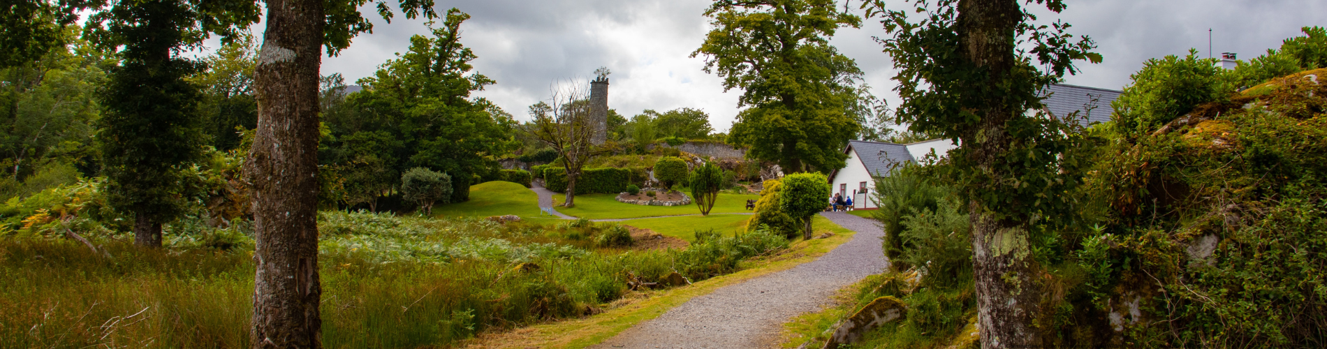 Novus Blog Banners 1