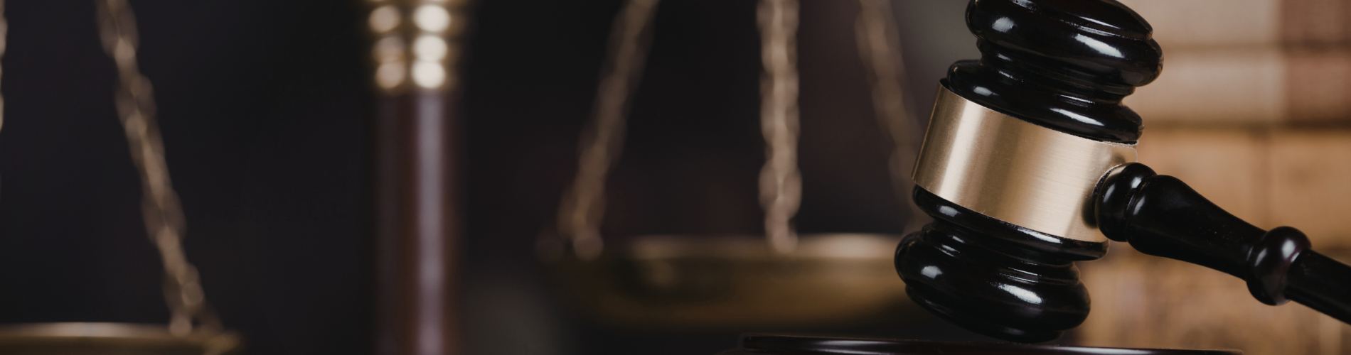 Novus Blog Banners 2