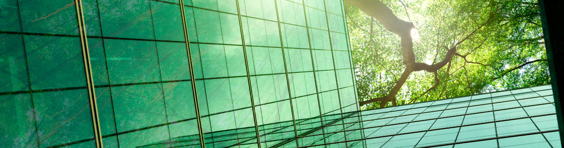Novus Blog Banners