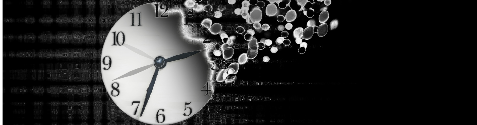 Novus Blog Banners